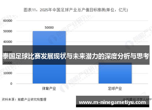 泰国足球比赛发展现状与未来潜力的深度分析与思考